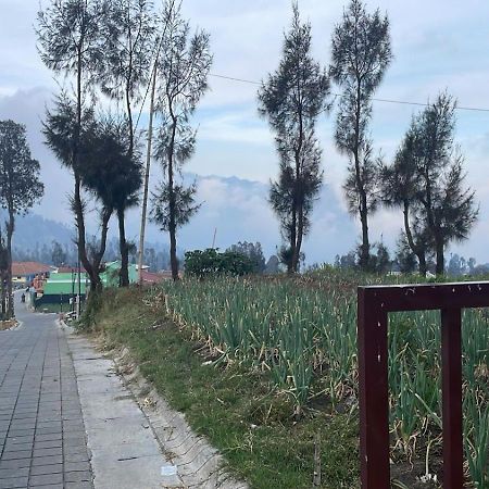Bromo Semesta Guesthouse Probolinggo Luaran gambar